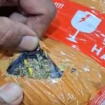 Polisi sita 3,6 kg ganja saat tangkap pengedar di Tanah Abang